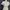 LAGENI FUSHI FLOWER LACE OFF SHOULDER PEPLUM FAIRY DRESS photo 3