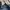 Levi's Skater Casual Jeans Pria Navy