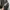 Knitwear kingaugusta 3d photo 3