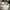 Adidas Y3 Tangutsu Slip On Sneakers photo 2