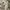 Adidas Y3 Tangutsu Slip On Sneakers photo 4