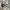 Adidas Y3 Tangutsu Slip On Sneakers photo 3