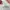 ASICS GEL KAYANO 14 CREAM SWEET PINK photo 6