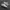 nike af1 photo 1
