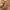 Coach Signature Canvas Mini Hobo Bag photo 10