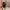 Coach Signature Canvas Mini Hobo Bag photo 6