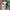 adidas full graphic y2k photo 1