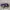 ADIDAS BERMUDA PURPLE photo 1