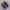 ADIDAS BERMUDA PURPLE photo 3