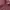Kemeja Kotak Panjang Canterbury CCC – Maroon (NEGO AJA)‼️ photo 3