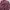 Kemeja Kotak Panjang Canterbury CCC – Maroon (NEGO AJA)‼️ photo 5