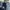 Carhartt Skater Casual Jeans Pria Navy Blue