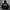 Hoodie Gap photo 1