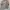 Thanksinsomnia Casual Casual shirt Pria multicolor gray photo 2