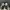 New Balance Sportswear Casual Sneakers Pria white black photo 3