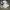 New Balance Sportswear Sneakers Pria White