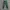 Alexander Wang Luxury Sportswear Sweatpants & Joggers Pria green blue photo 2