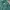Alexander Wang Luxury Sportswear Sweatpants & Joggers Pria green blue photo 3