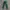 Alexander Wang Luxury Sportswear Sweatpants & Joggers Pria Green Blue