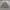 Jaket m65 woodland army photo 4