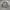 Jaket m65 woodland army photo 1