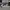 Adidas Entrap Low Trainer  photo 3
