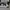 Adidas Entrap Low Trainer  photo 1