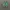 vans authentic 44 dx anaheim green photo 3