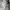 00s GRL white baggy pants photo 5