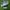 Adidas spezial  photo 1