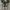 Converse Allstar Hi Black White photo 4