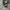 Converse Allstar Hi Black White photo 1