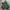 Hoodie Boxy CHMB Feeling Certain Green  photo 1