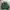 Hoodie Boxy CHMB Feeling Certain Green  photo 3