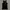 tanktop ingni black photo 1