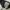 HOODIE GAP EMPAT WARNA photo 5