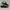 Converse ctas dainty low black white photo 1
