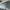 Common Projects Vintage Casual Sneakers Wanita white photo 6