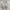 Common Projects Vintage Casual Sneakers Wanita white photo 5