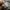 Codegraphy photo 5