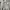 Codegraphy photo 2