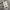 Codegraphy photo 4