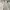 Codegraphy photo 1
