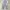 DART Double Knee Carpenter Baggy jeans photo 4