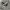 Converse ct70s Hi photo 1