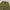 GLW baggy pants olivegreen photo 6