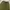 GLW baggy pants olivegreen photo 4