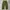GLW baggy pants olivegreen photo 3