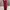 dress pres body maron photo 2