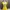 Dress kuning sexy photo 2